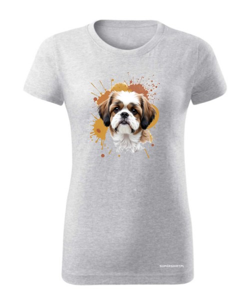 Shih Tzu
