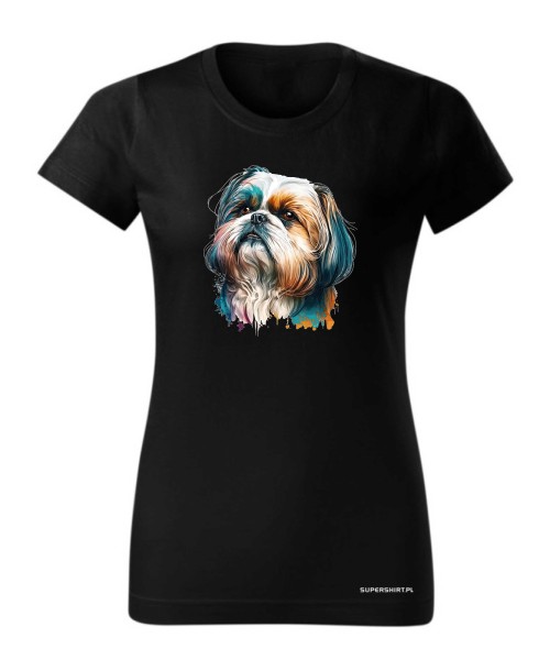 Shih Tzu 2 