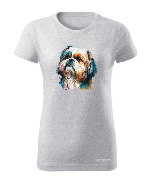 Shih Tzu 2 