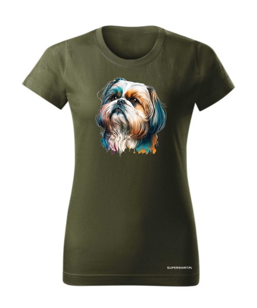 Shih Tzu 2 