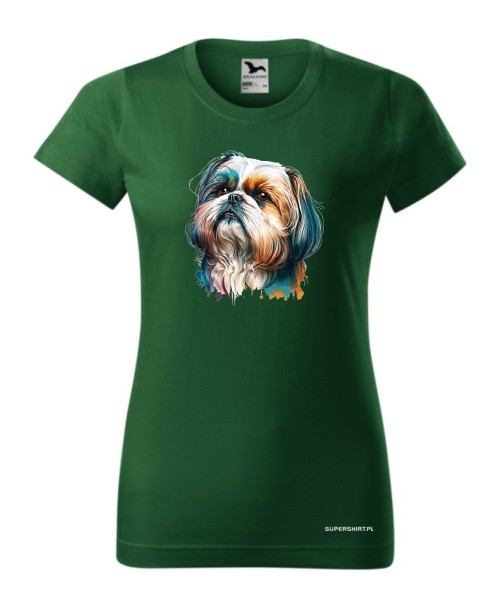 Shih Tzu 2 
