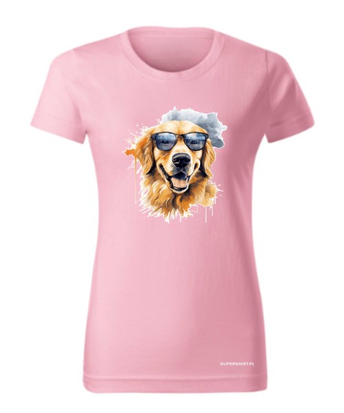 Golden Retriever w okularach