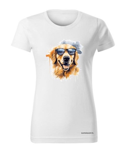 Golden Retriever w okularach