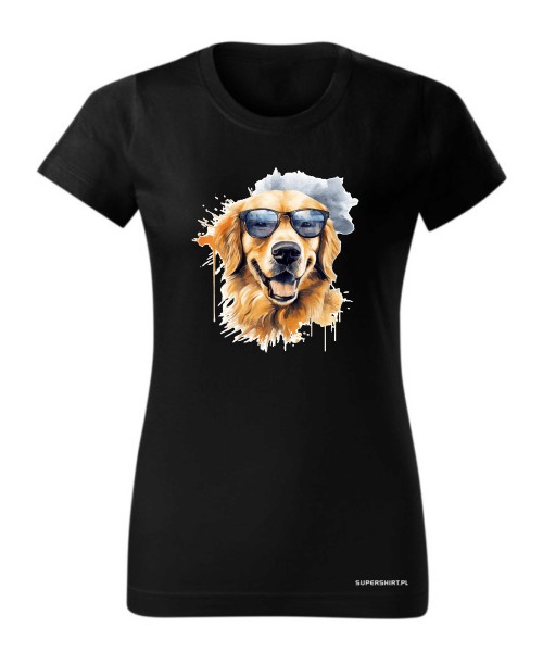 Golden Retriever w okularach