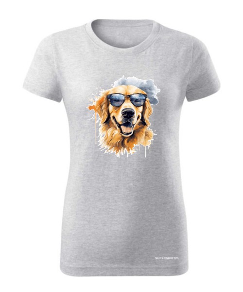 Golden Retriever w okularach