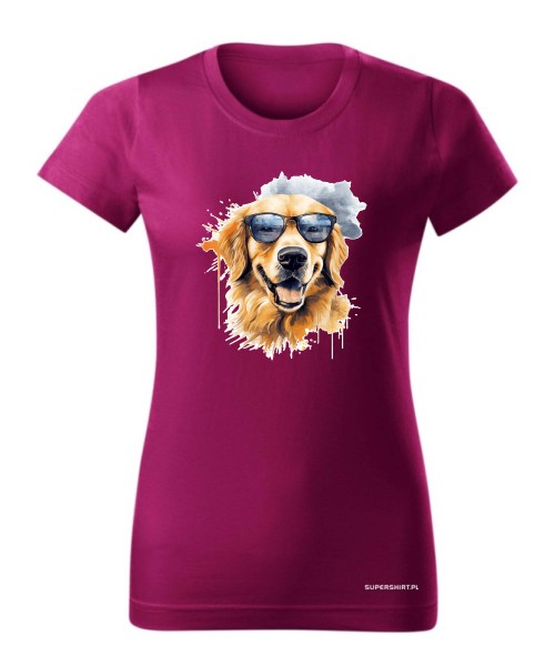 Golden Retriever w okularach