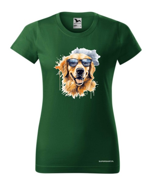 Golden Retriever w okularach