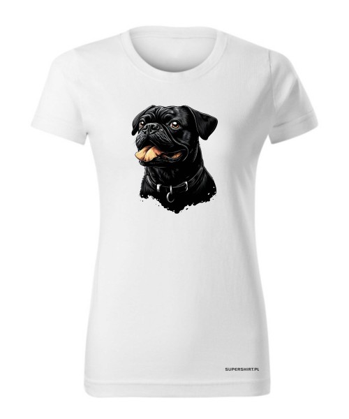 Mops 1