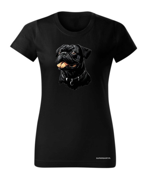 Mops 1