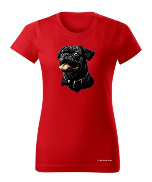 Mops 1