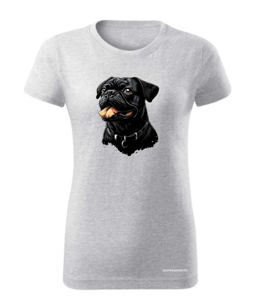 Mops 1