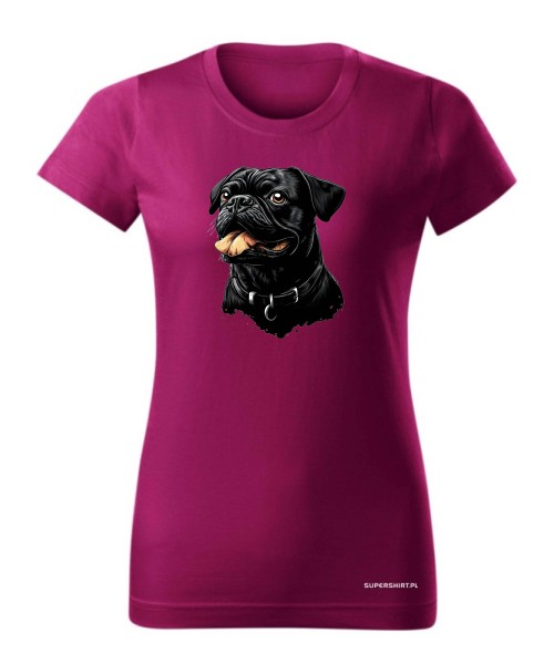 Mops 1