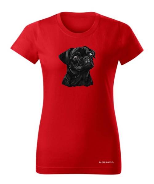 Mops 2