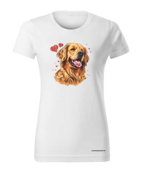 Golden Retriever serca