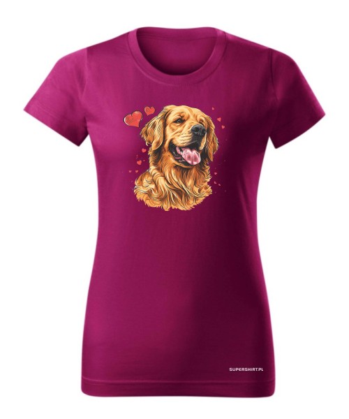 Golden Retriever serca