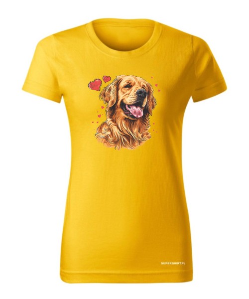 Golden Retriever serca
