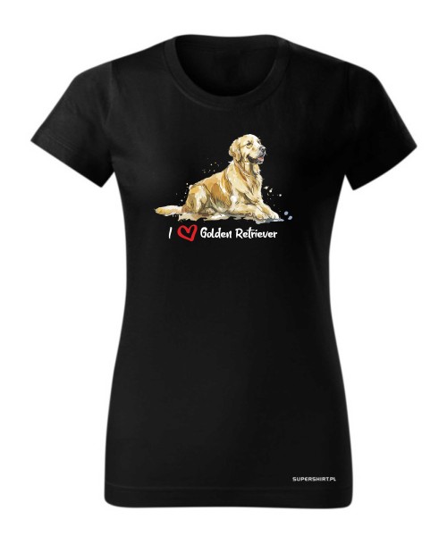 Golden Retriever leżący