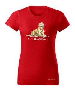 Golden Retriever leżący
