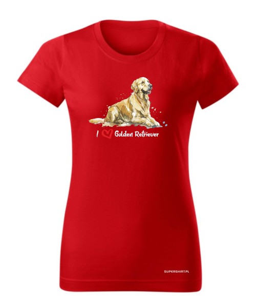 Golden Retriever leżący
