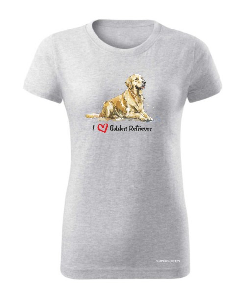 Golden Retriever leżący