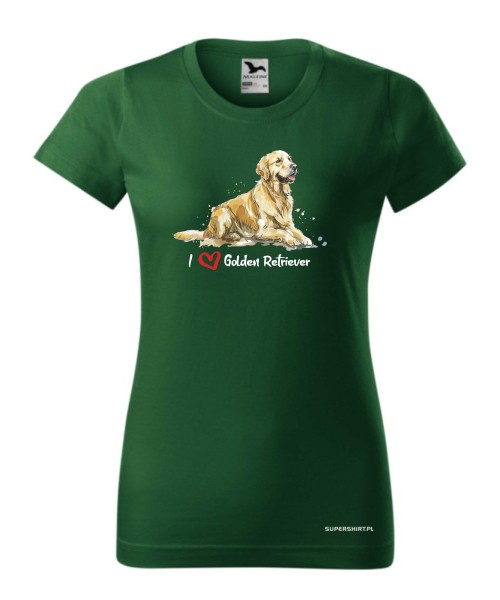 Golden Retriever leżący