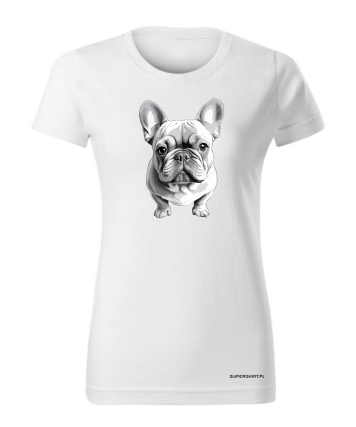 Buldog francuski