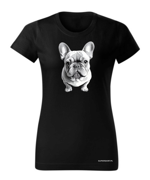 Buldog francuski