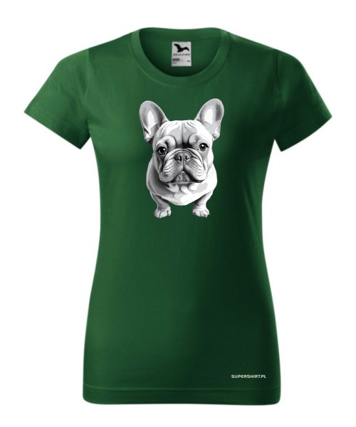 Buldog francuski