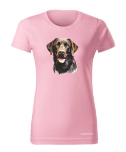 Labrador czekoladowy