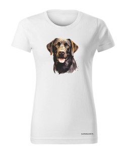 Labrador czekoladowy
