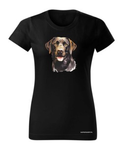 Labrador czekoladowy