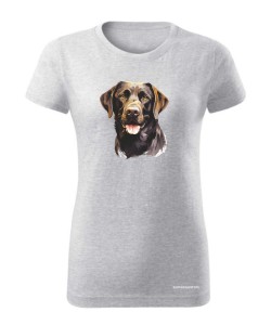 Labrador czekoladowy