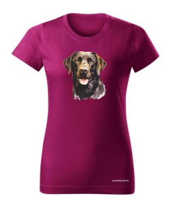 Labrador czekoladowy