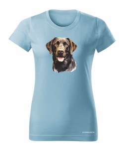 Labrador czekoladowy