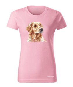 Golden retriever złoty