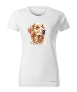 Golden retriever złoty