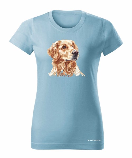 Golden retriever złoty