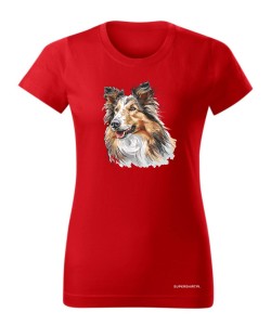 Owczarek szkocki collie