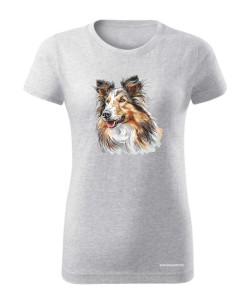 Owczarek szkocki collie