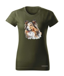 Owczarek szkocki collie