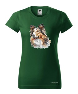 Owczarek szkocki collie