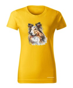 Owczarek szkocki collie