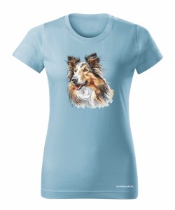 Owczarek szkocki collie