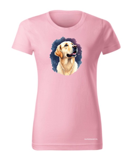 Golden retriever kosmos