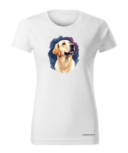 Golden retriever kosmos