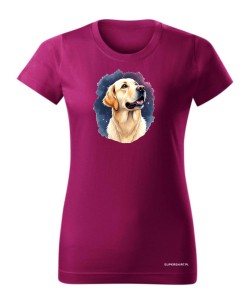 Golden retriever kosmos