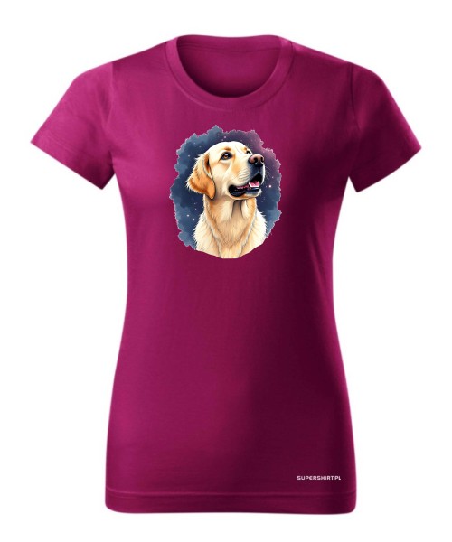 Golden retriever kosmos