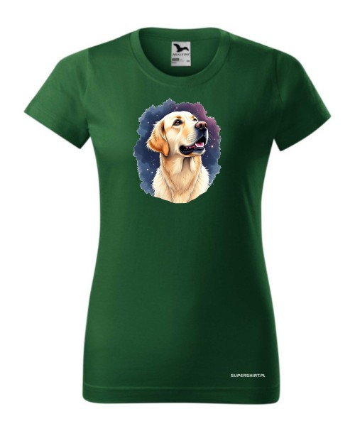 Golden retriever kosmos