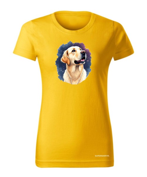 Golden retriever kosmos