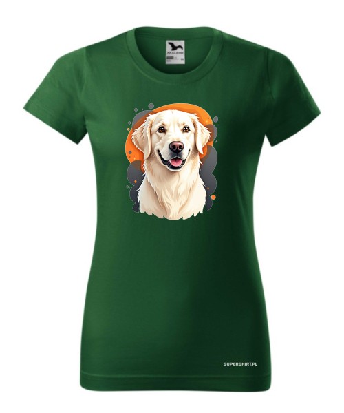 Golden retriever 1